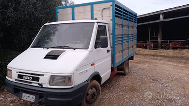 Iveco Daily 35/10 trasporto bestiame animali vivi