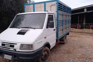 Iveco Daily 35/10 trasporto bestiame animali vivi