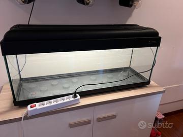 Acquario 100L + filtro esterno + accessori