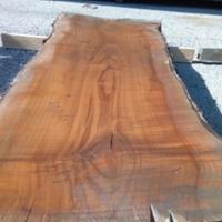 tavole legno