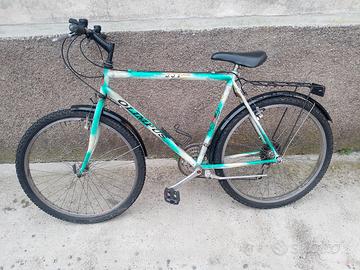 Bicicletta Mountain bike 