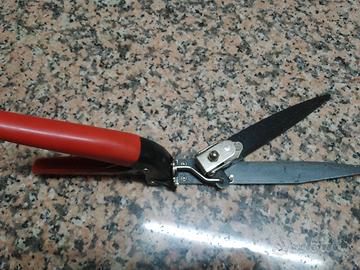 Forbici taglio bordi prato