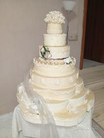 Torta finta da ristrutturate