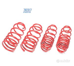 KIT MOLLE SPORTIVE PER SKODA