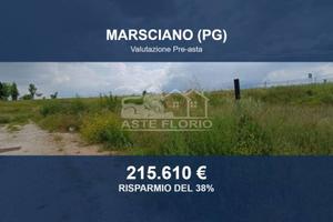 Immobile in asta di 17324 m² a Marsciano