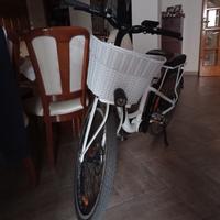 Bici elettrica