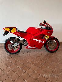 Cagiva Mito 125 Lawson '92 Moto e Scooter In vendita a Teramo