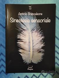 libro di poesie: Sinestesia Sensoriale 