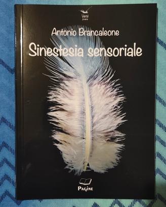 libro di poesie: Sinestesia Sensoriale 