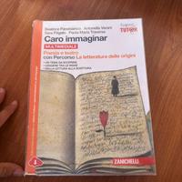 Caro immaginar