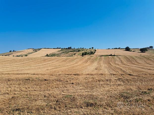 TERRENO AGRICOLO ed UNITA' COLLABENTE