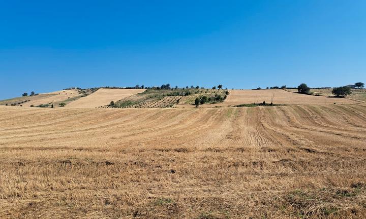 TERRENO AGRICOLO ed UNITA' COLLABENTE