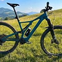 Specialized Turbo Levo SL