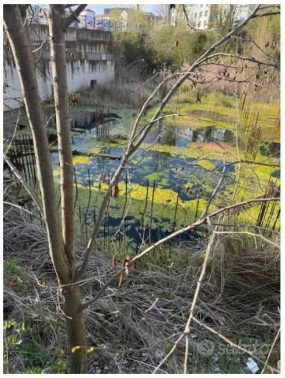 Immobile in asta di 2410 m² a Campobasso - Vista 4