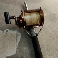 Canna da pesca Italicanna