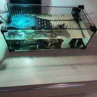 acquario, tartarugario 60 cm 