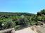 Immagine 14
