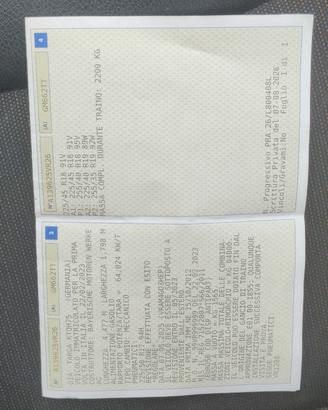 3393361450
