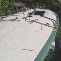 Barca a Vela Star vetroresina