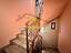 Immagine 18