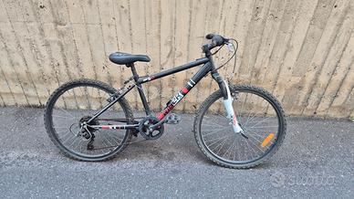 Bicicletta