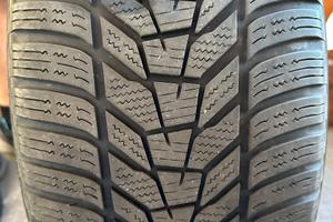 Gomme invernali
