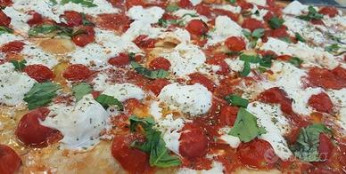 Cogefim 16067 - PIZZERIA TAVOLA CALDA - Frascati