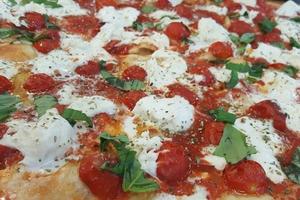 Cogefim 16067 - PIZZERIA TAVOLA CALDA - Frascati