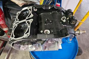 RD carter YPVS