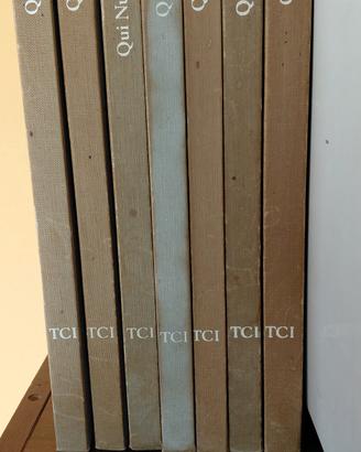 Guide Touring Club, Serie"Grandi città del mondo"