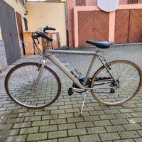 bicicletta da passeggio