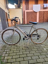 bicicletta da passeggio