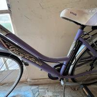 Bicicletta viola