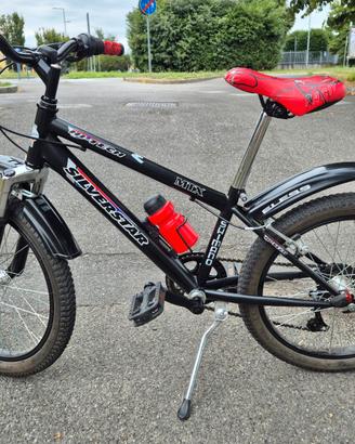 Bici MTB Silver Star