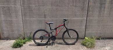 Mountain bike Casadei 24