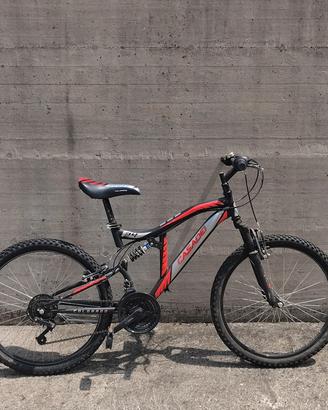 Mountain bike Casadei 24