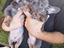 Immagine 6