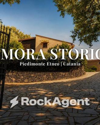 Rustico / Casale di 446 m² con più di 5 locali a P