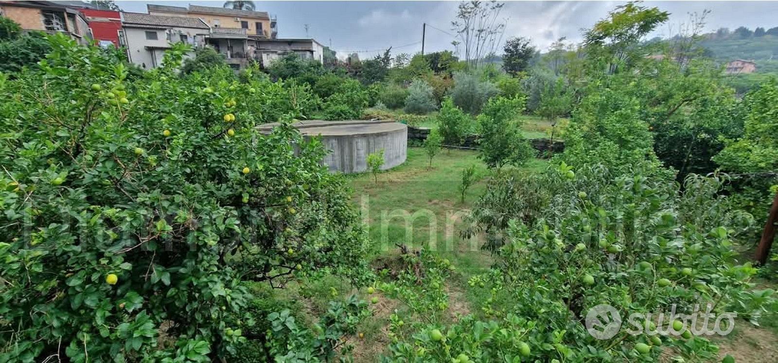 Terreno agricolo 1.200mq a Giarre - Vista 2