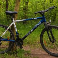 MTB Tacconi 26" JL400, Telaio L