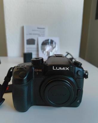 Panasonic GH4 + Panasonic Lumix G X 12-35mm f/2.8