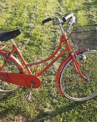 Bicicletta donna 