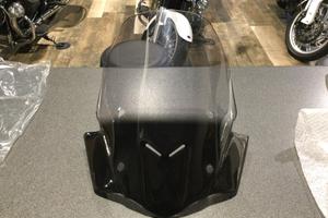 Cupolino Ermax V85TT 2019