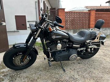 Harley davidson fat bob
