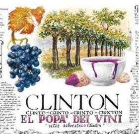 fiasche damigiane vino