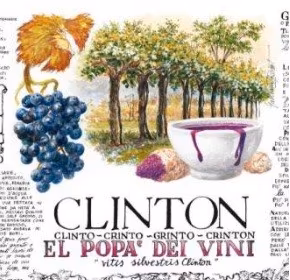 fiasche damigiane vino