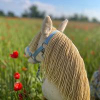 Hobby horse con accessori