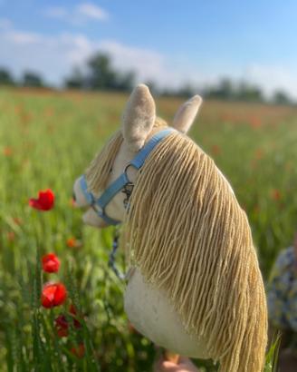 Hobby horse con accessori