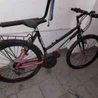 bicicletta da donna grimper