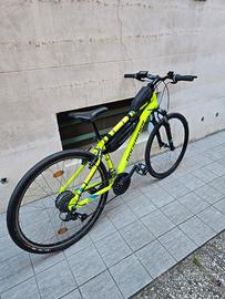 Bici elettrica e-bike pedalata assistita